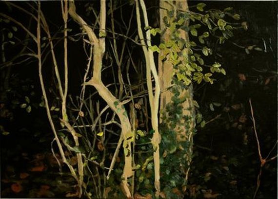 PN Wald Nachtkl.jpg